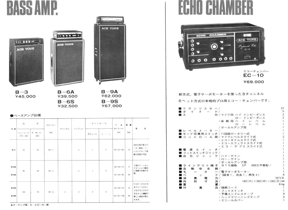 Bass amp, echo chamber