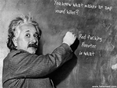 Einstein'sRooster.jpg