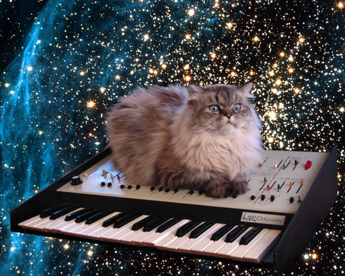 Synthesizer_Cat.jpg